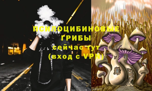 MDMA Premium VHQ Карталы