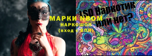 стафф Касимов