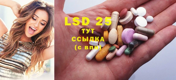 стафф Касимов