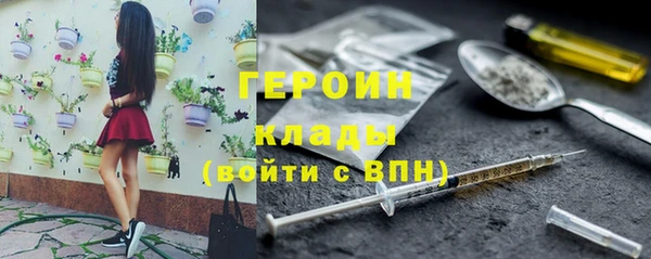 стафф Касимов