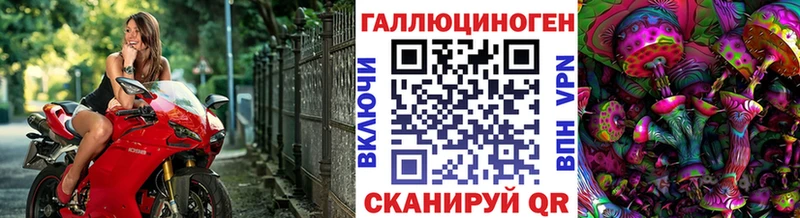 кракен вход  цена   Кириллов  Псилоцибиновые грибы Magic Shrooms 